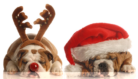Fotolia_10222329_XS.jpg